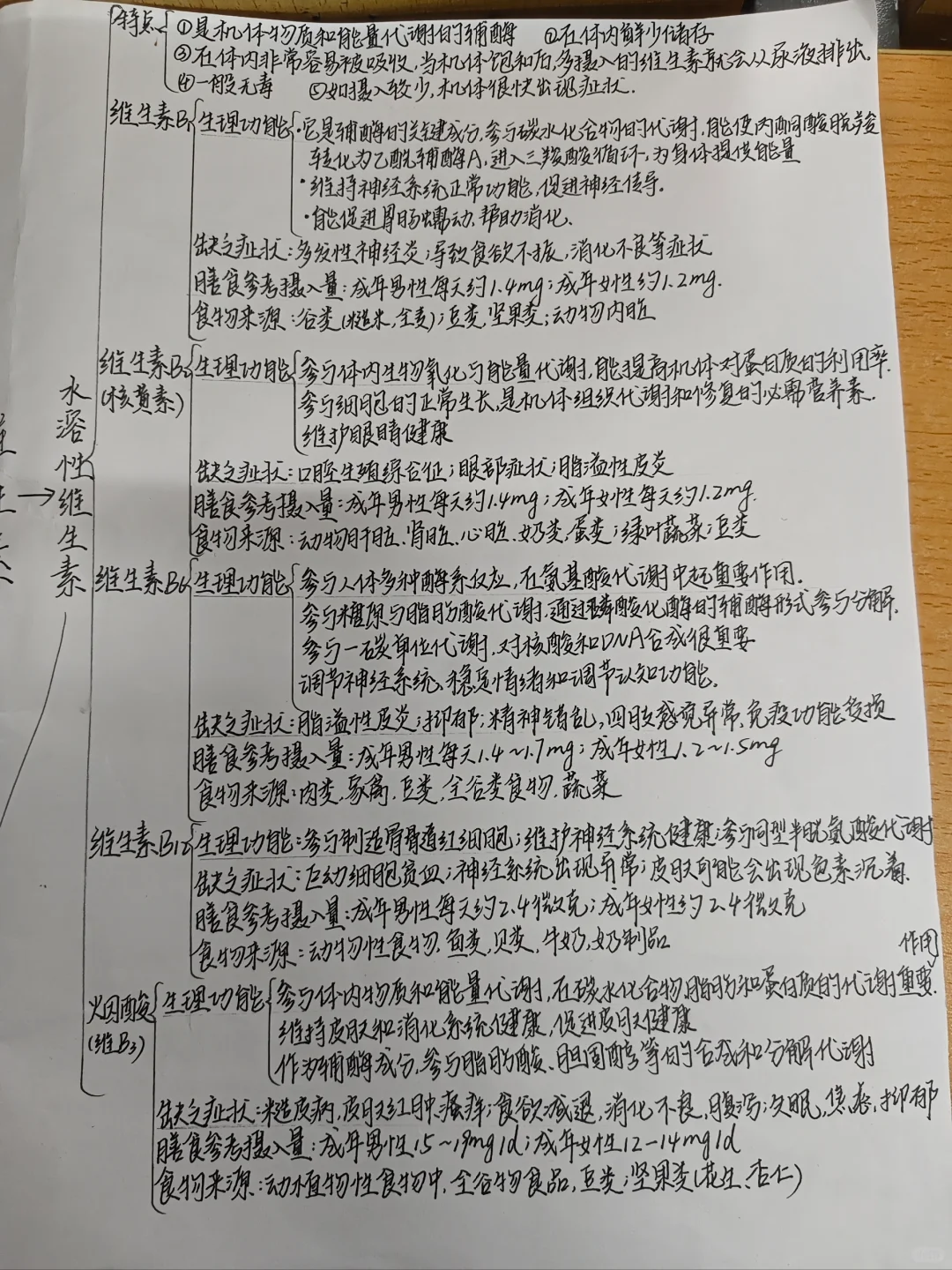 维生素思维导图