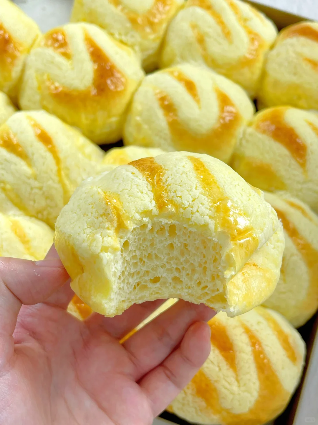 连吃两周❗️牛奶雪芙小餐包 软fufu巨好吃?