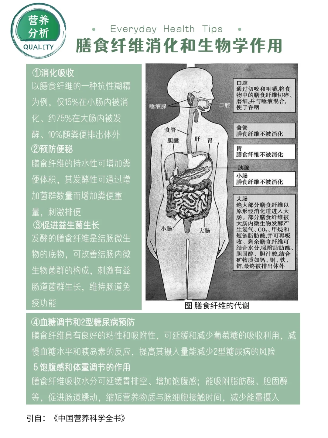 04日常食物营养对比|膳食纤维篇|预防便秘