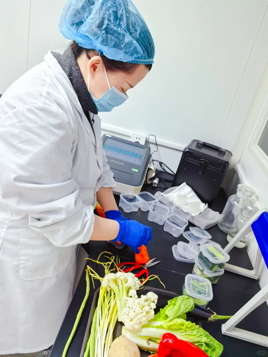 ?揭秘日供1万+团餐背后的神秘央厨!