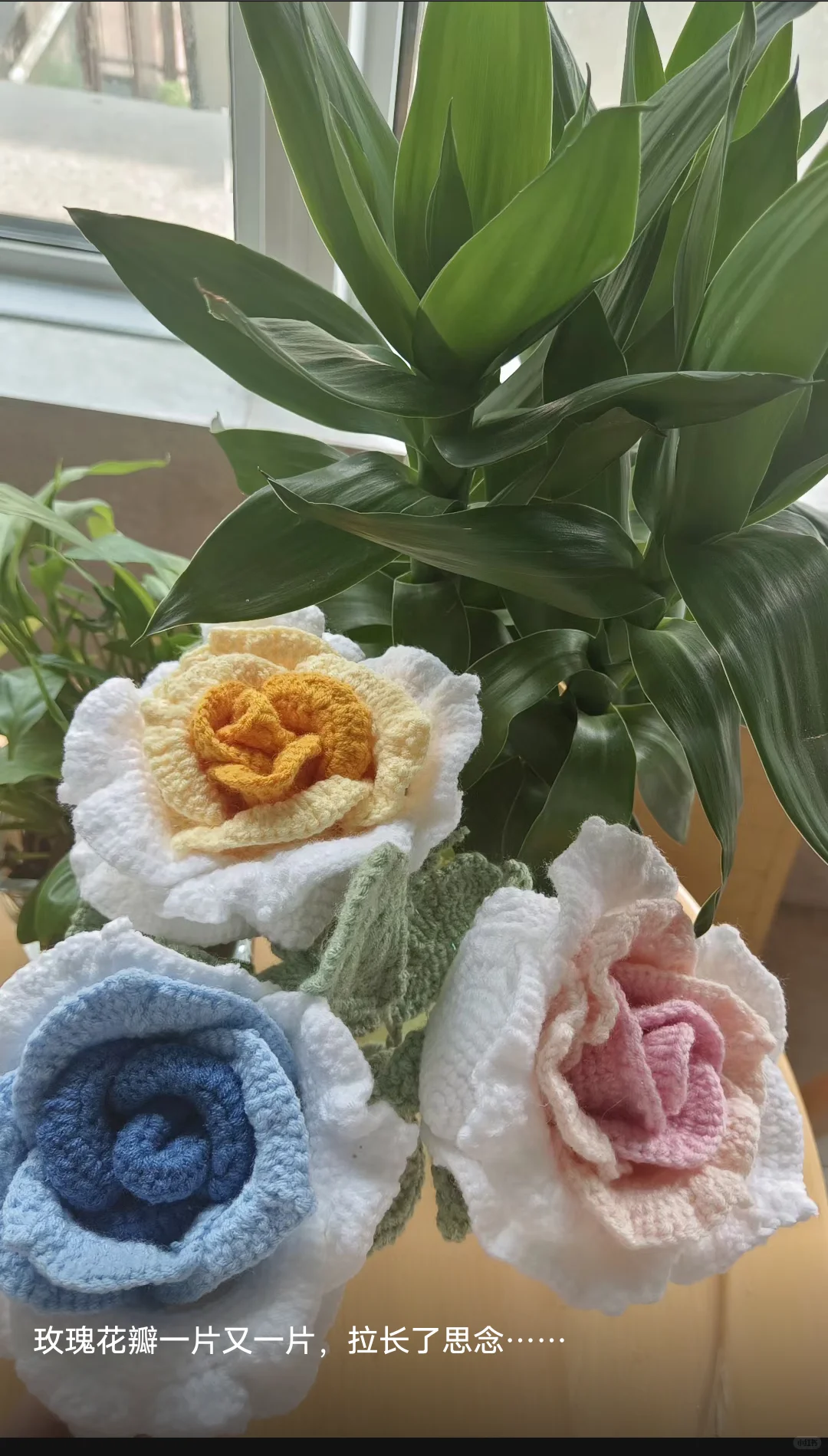 钩织是个大坑，千万别入……