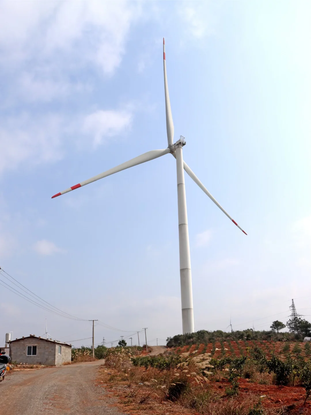 先看利弊 再来干风电