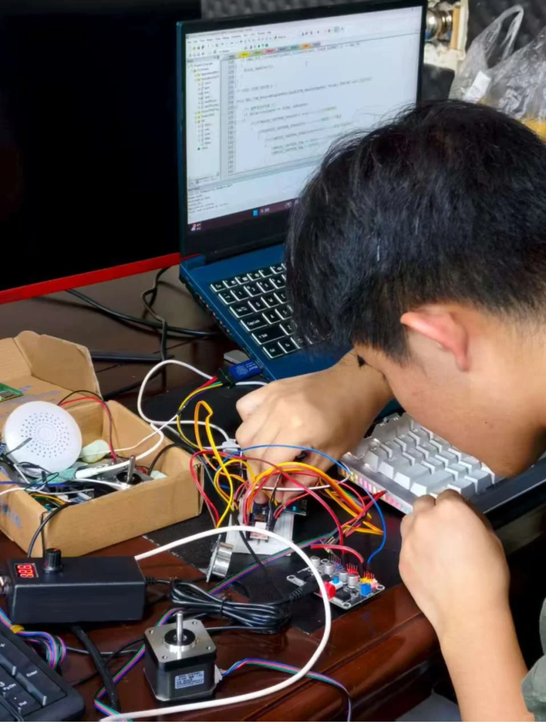 05佛大在读大学生|勇闯宠物行业