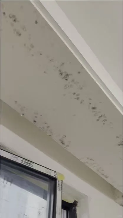 长期下雨墙面发霉如何处理呢