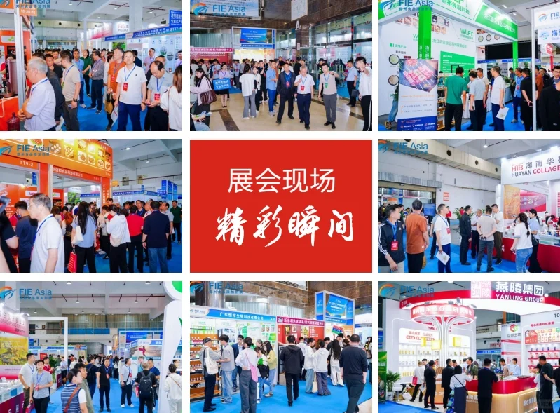 2026郑州天然提取物和健康食品配料展