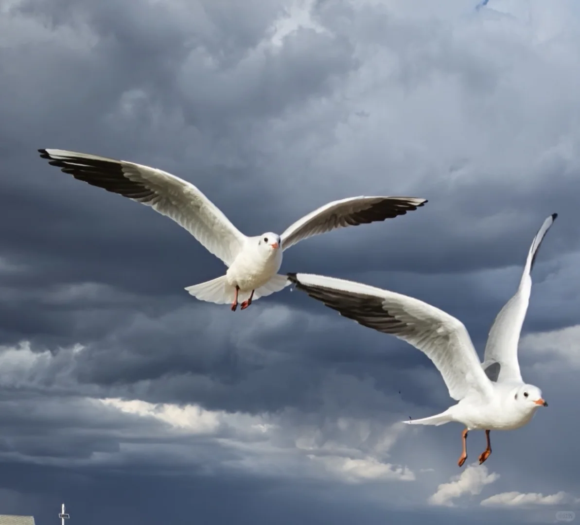 乌梁素海(内蒙·巴彦淖尔·乌拉特前旗)