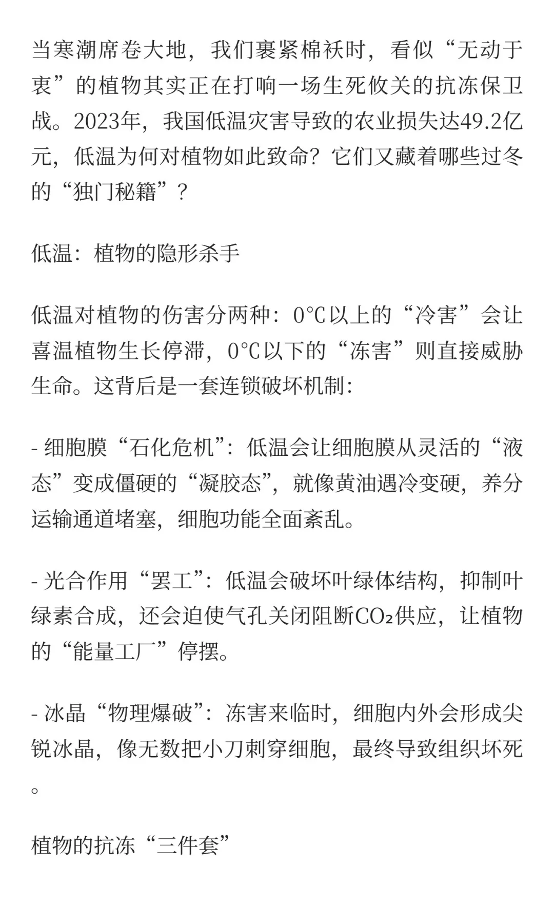 植物的抗冻生存战：低温来袭，它们如何硬核