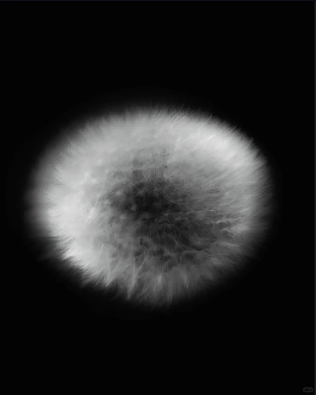 审美积累|把「束缚与生长」拍进了时尚的骨血