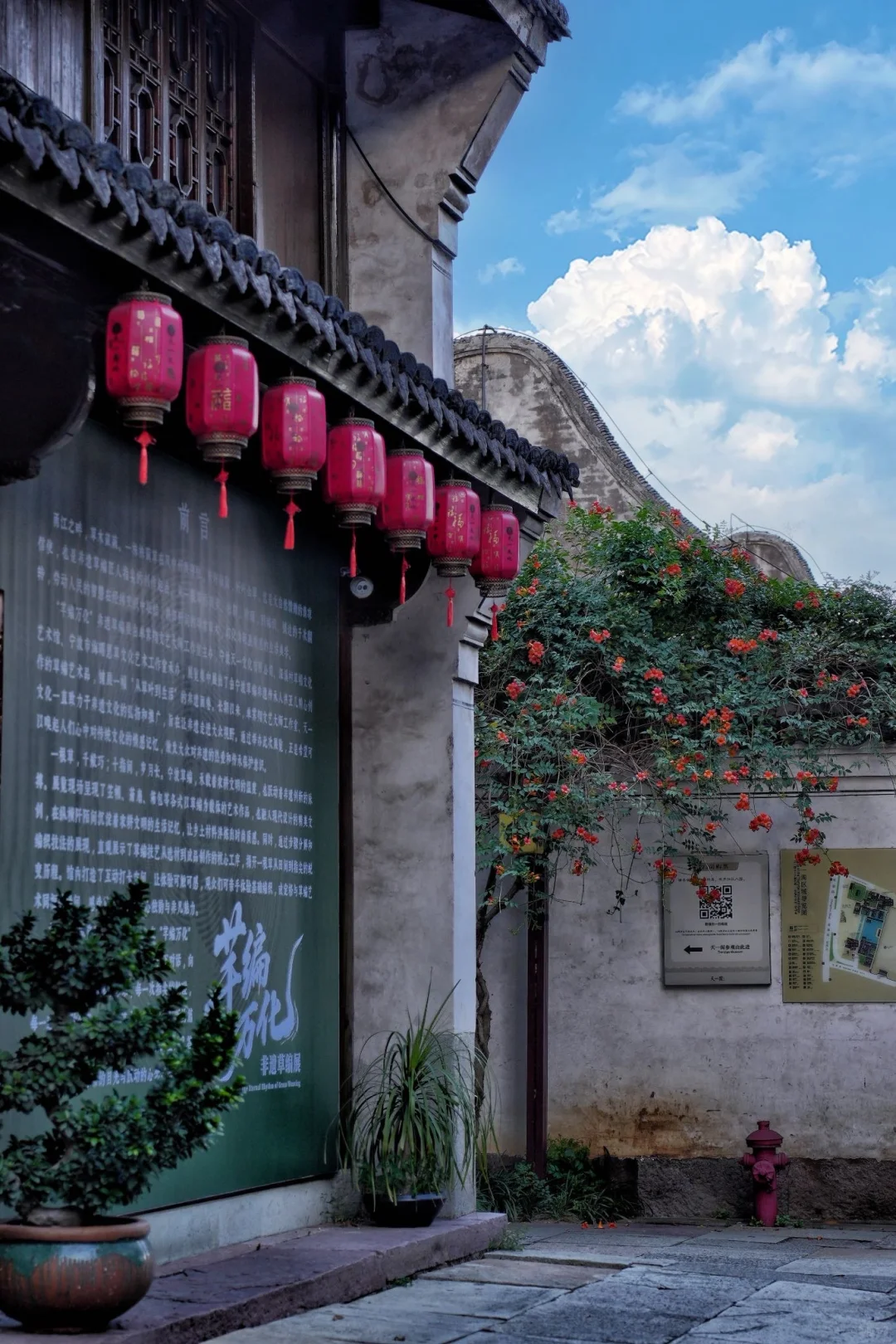 宁波新展｜芊编万化，一棵草的浪漫