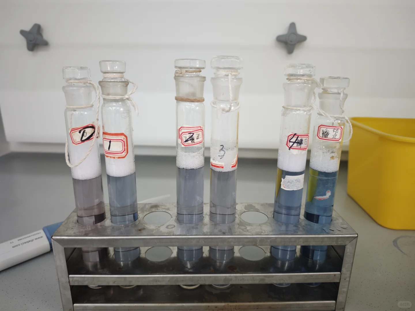 第一次从早忙淦晚，结果实验失败了