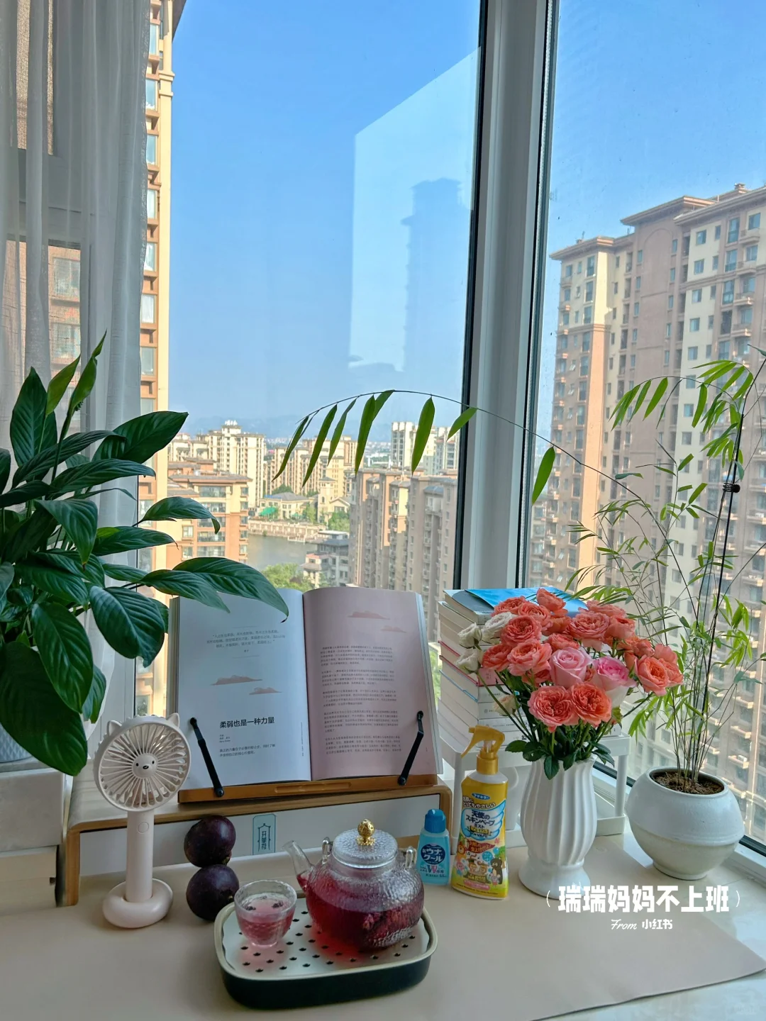 36岁,家是我的能量场,独处是灵魂的充电站✨