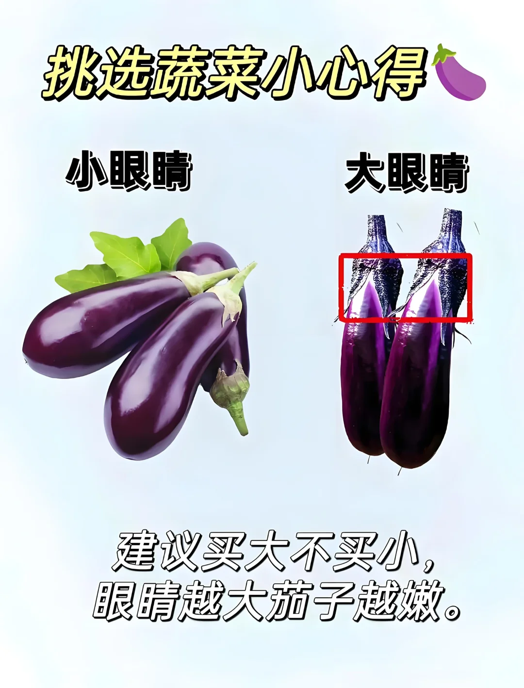 挑选菜小技巧，轻松买到新鲜