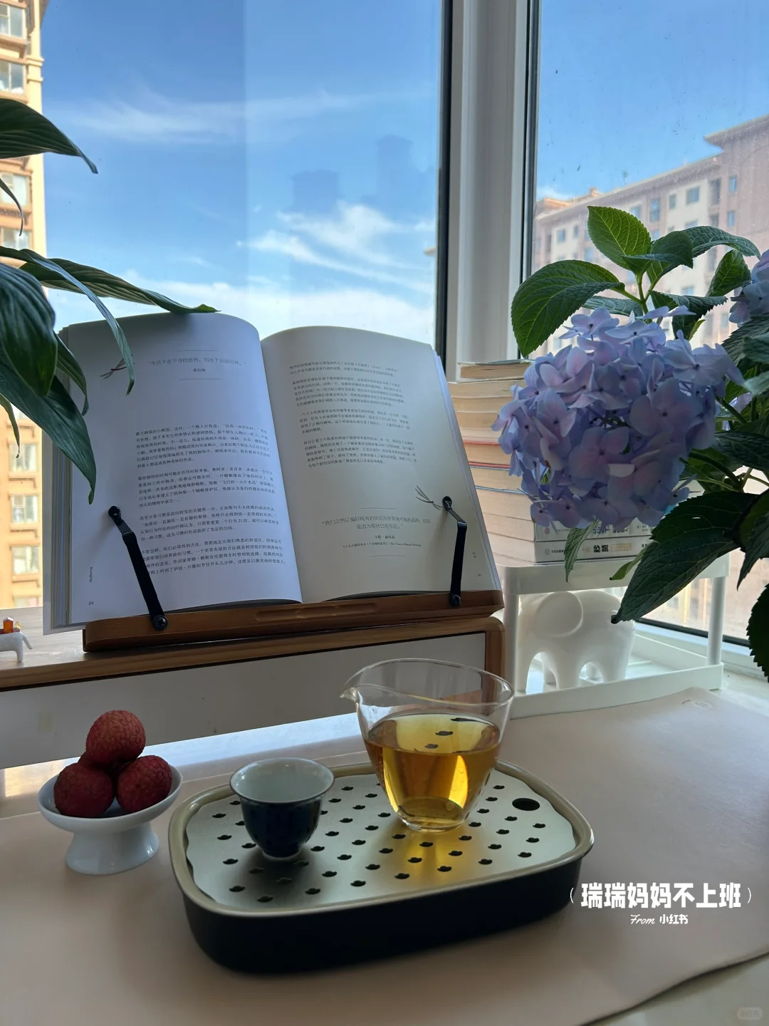 36岁,家是我的能量场,独处是灵魂的充电站✨