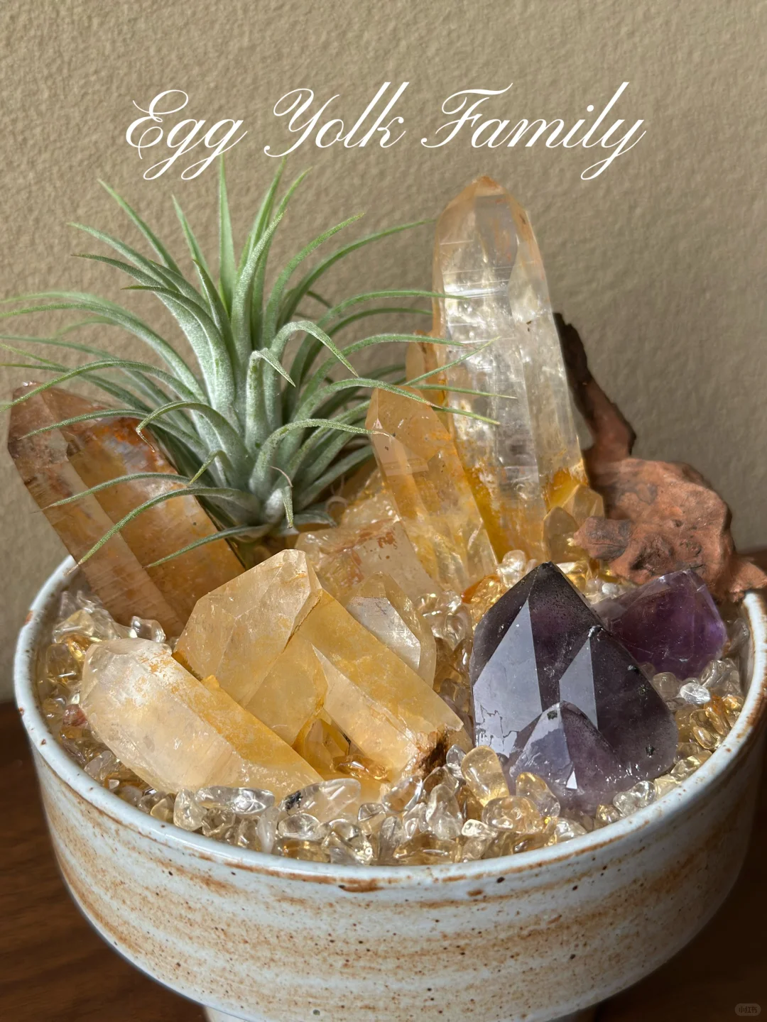 你更喜欢哪个呢✨