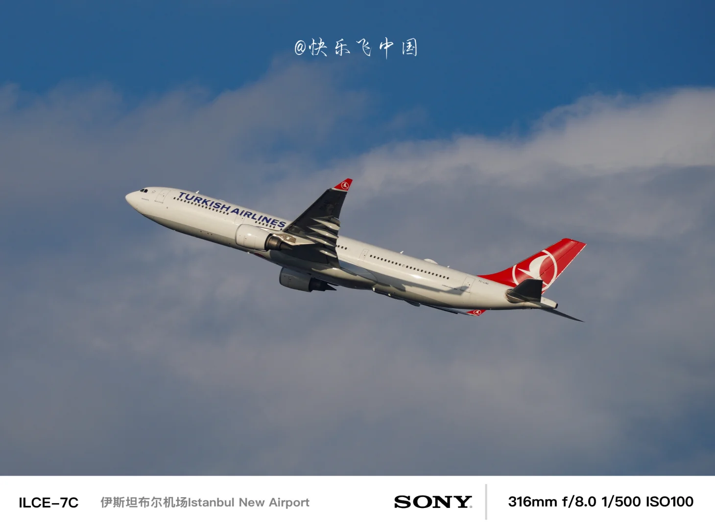 天马航空的A333宽体梦，土耳其航空，“圆了”❗️