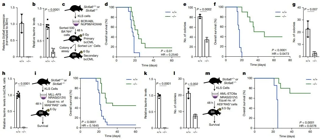 爱喝能量饮料，会促进白血病发展——牛磺酸