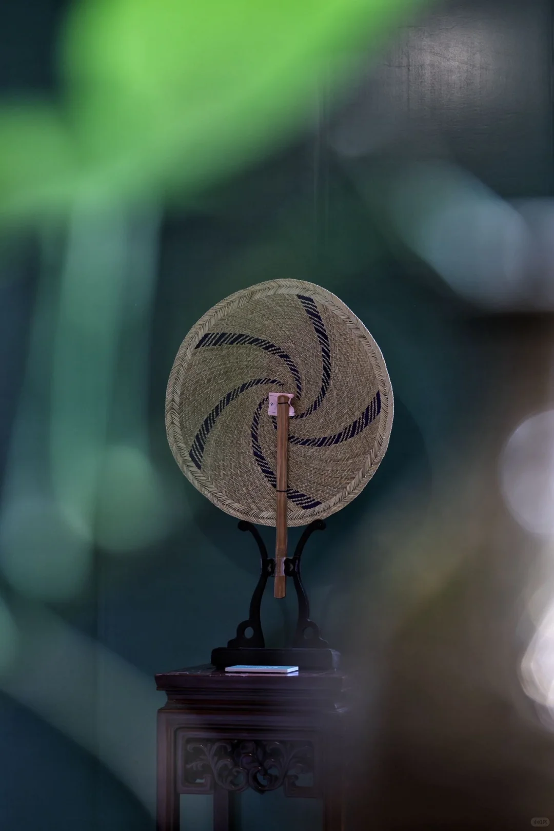 宁波新展｜芊编万化，一棵草的浪漫