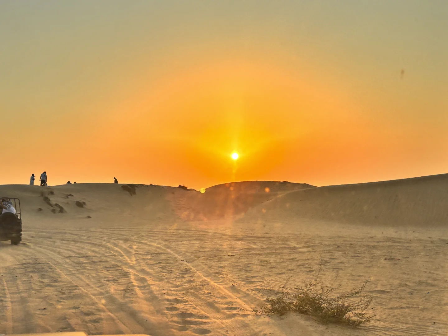 短剧《我在中东当王子》?️
