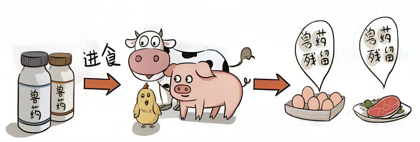民以食为天,食以安为先,兽残的五大危害