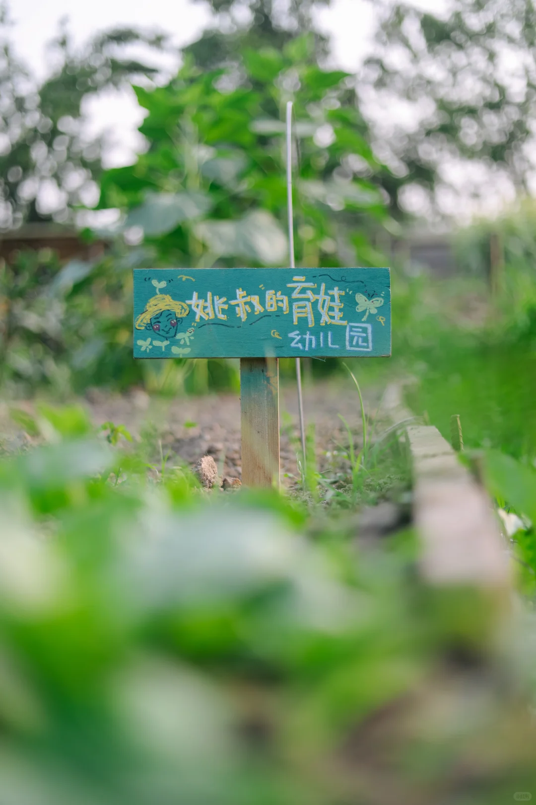 田野农|给地里的蔬菜做了名牌!