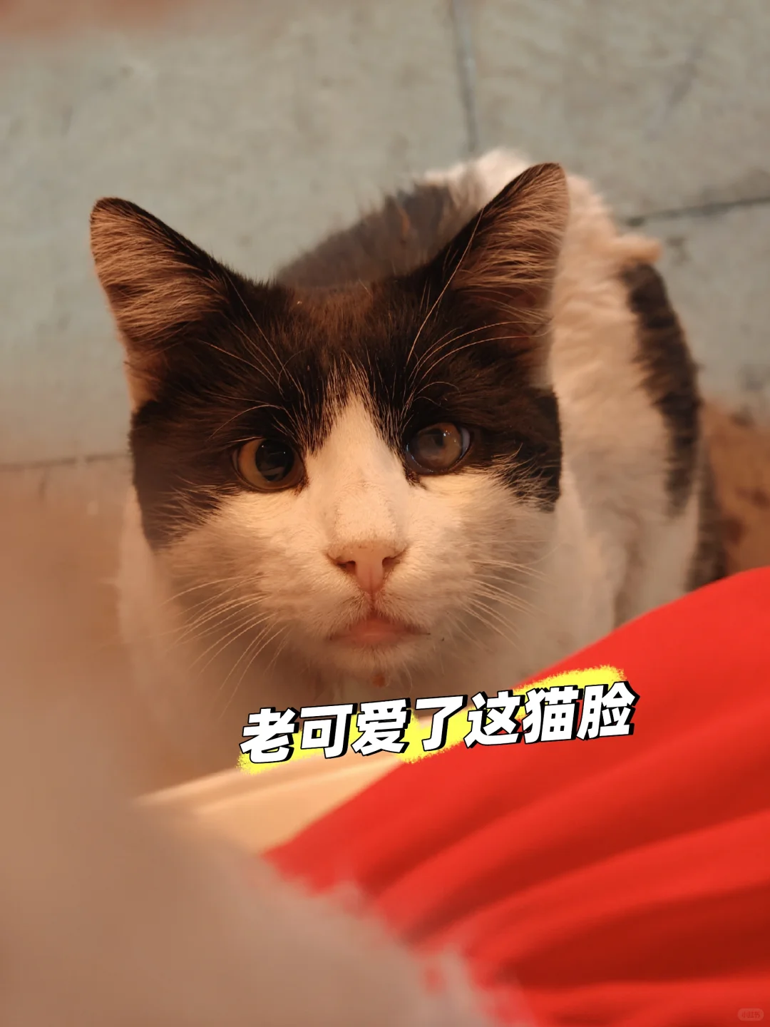 推荐一家土耳其格雷梅小镇的越野摩托