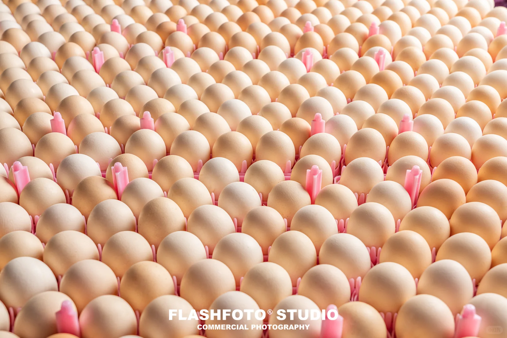 畜牧业商业拍摄|高级感