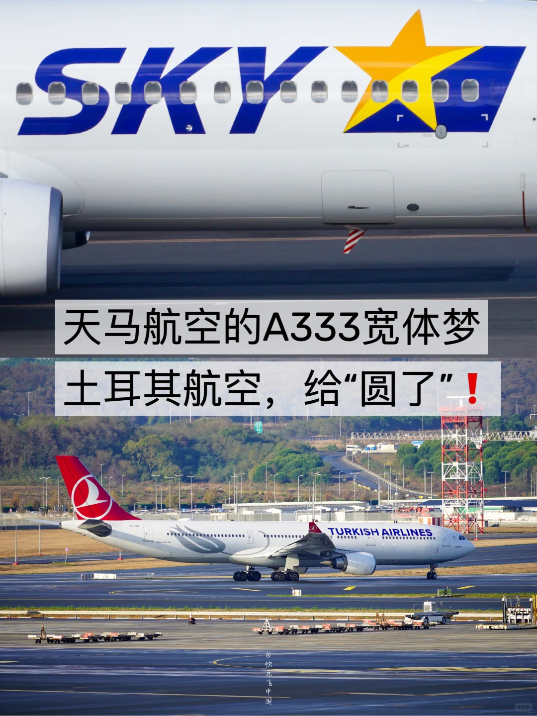 天马航空的A333宽体梦，土耳其航空，“圆了”❗️