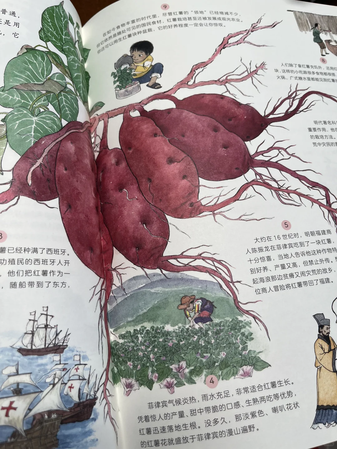 非常棒的一本作物科普书,中餐的秘密在这里