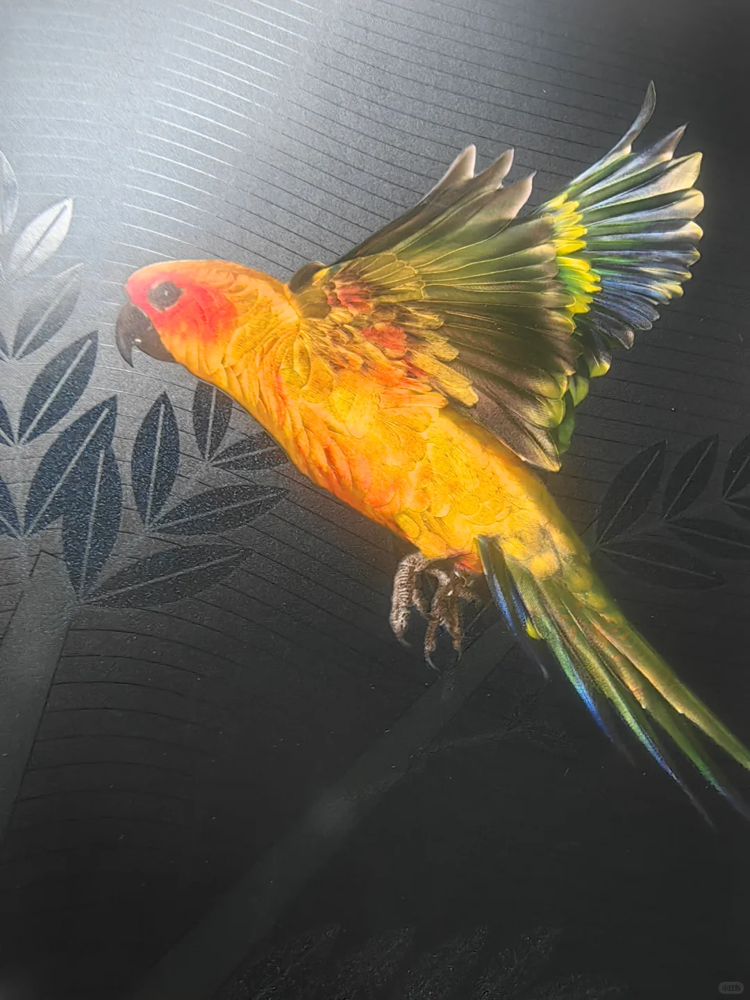 光刻铂金让细节更生动