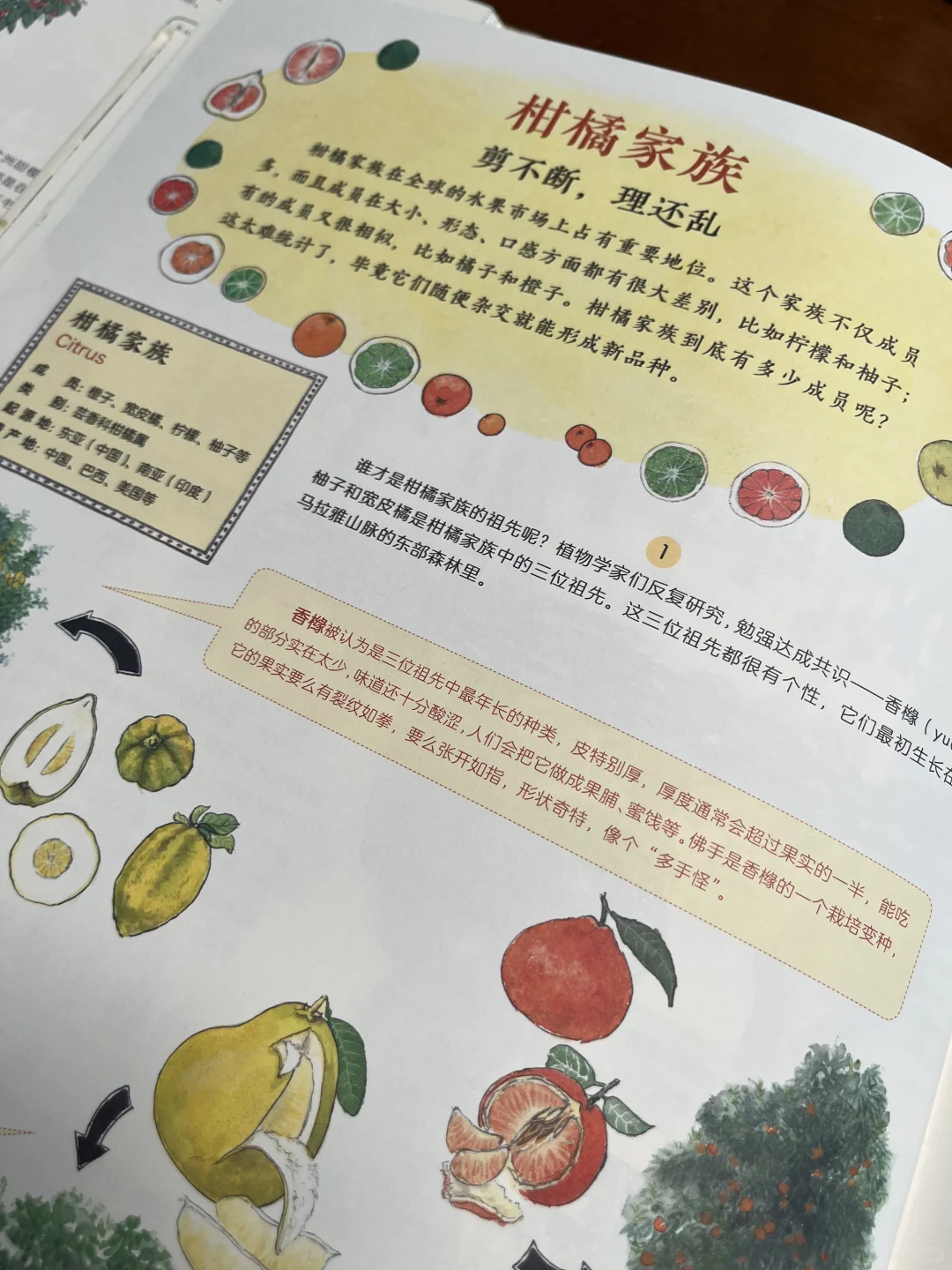 非常棒的一本作物科普书,中餐的秘密在这里