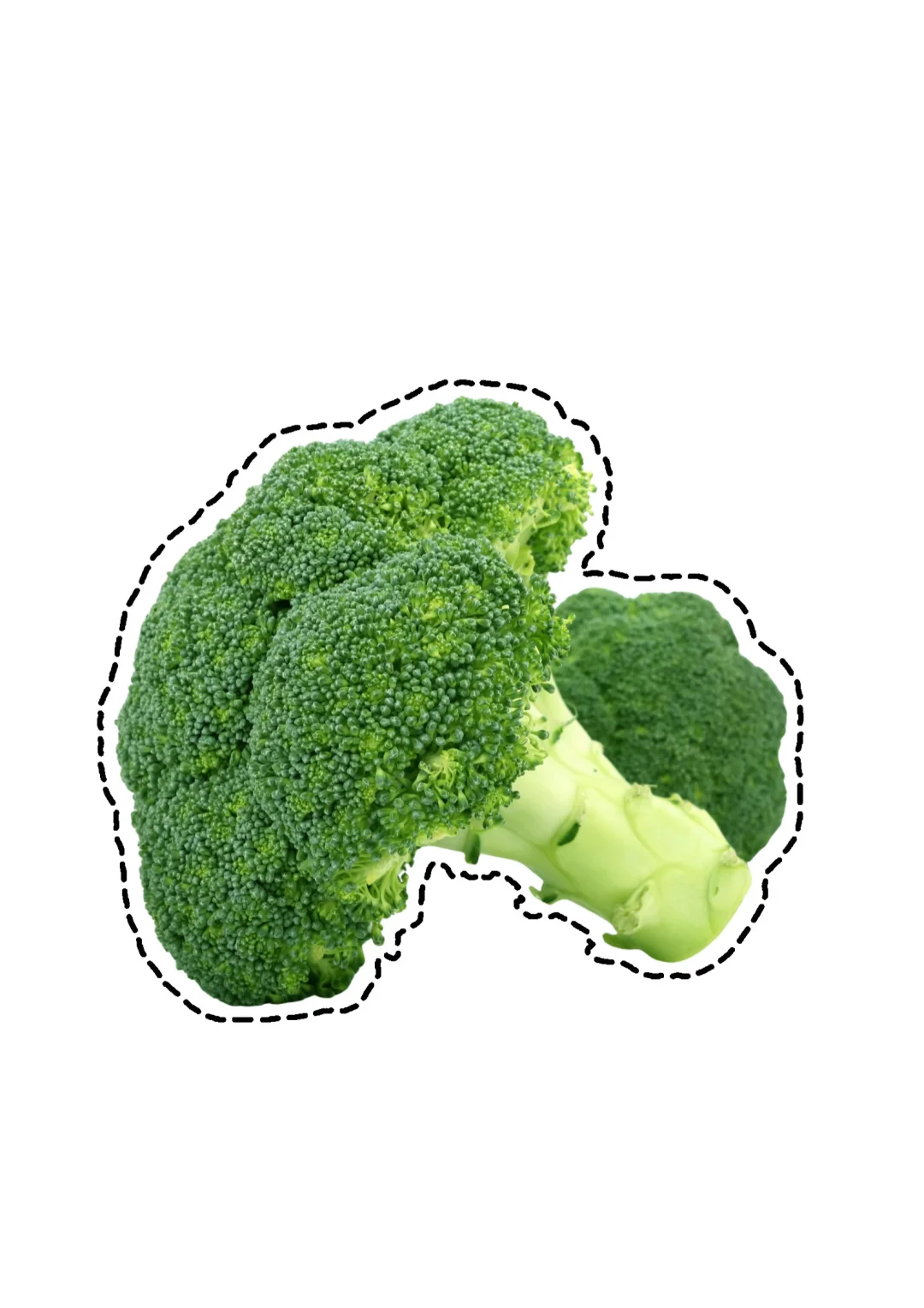 蔬菜剪纸素材｜?打印