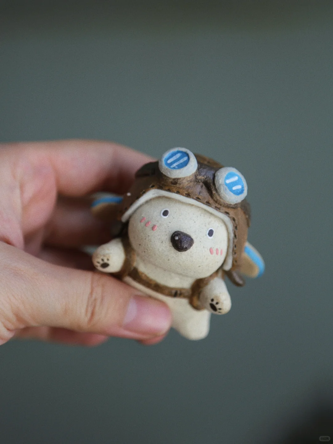 飞行员小狗☁️