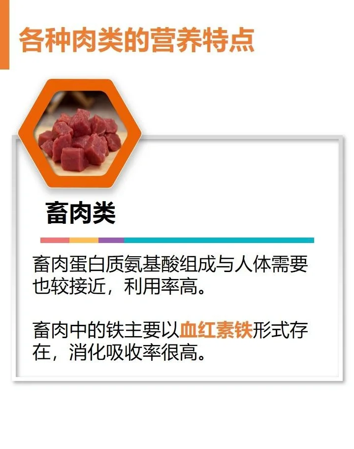 全民营养周?之鱼、禽、肉、蛋等动物性食物