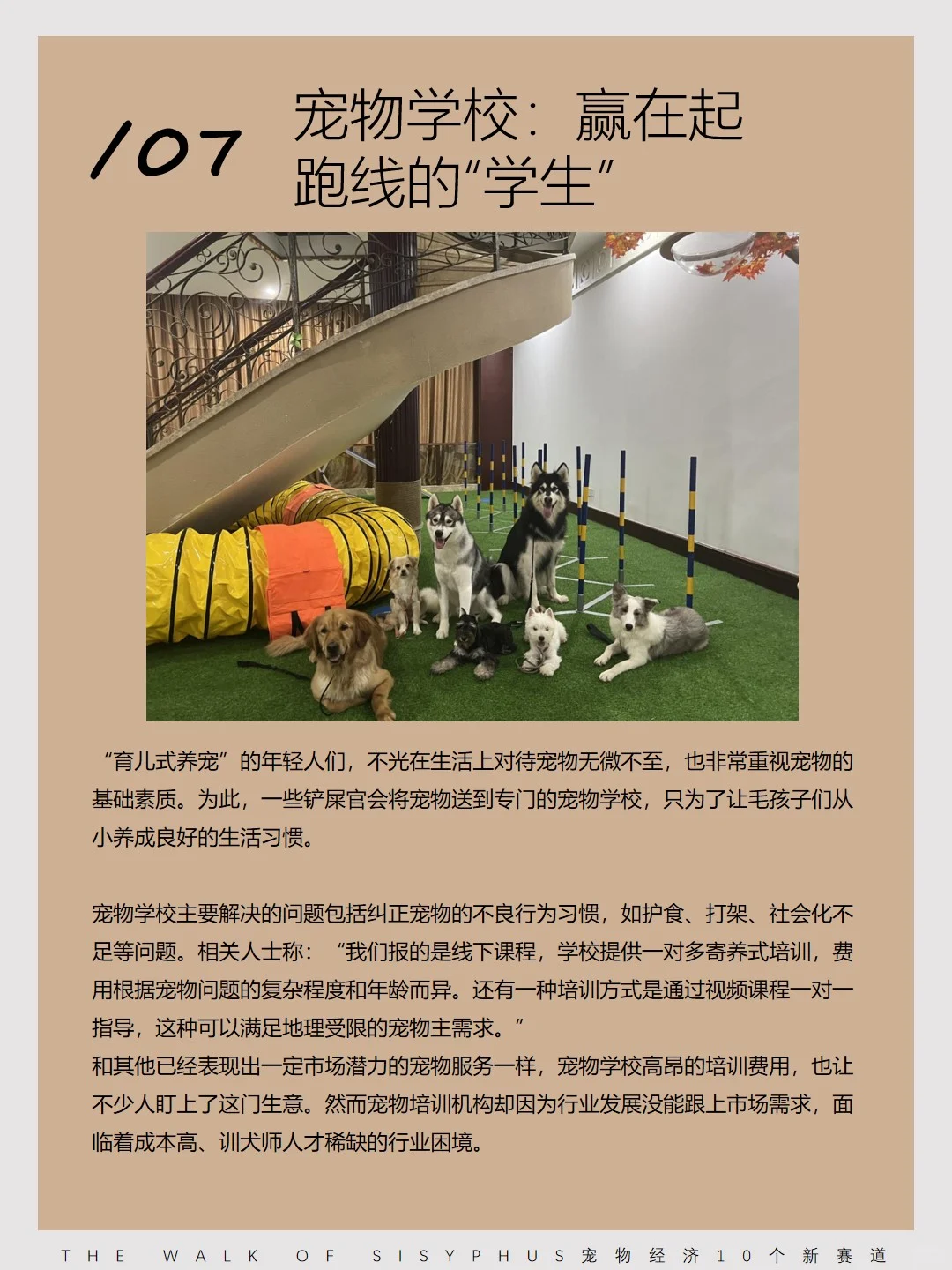 商业洞察｜宠物经济10 个新赛道