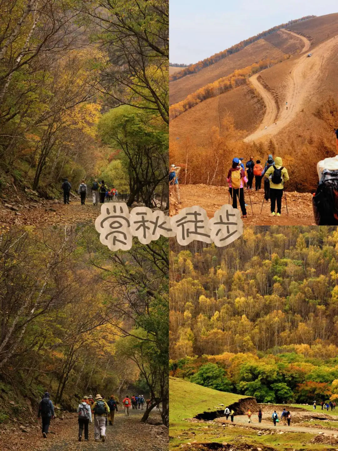 济南团建天花板【把秋天装进九如山】