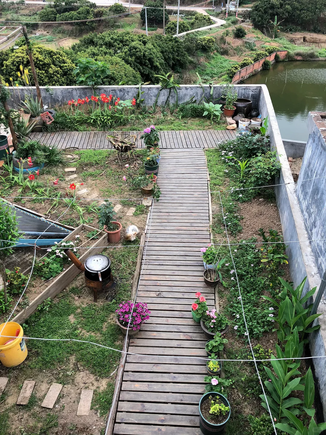 为了补漏防水隔热，我做了个楼顶花园