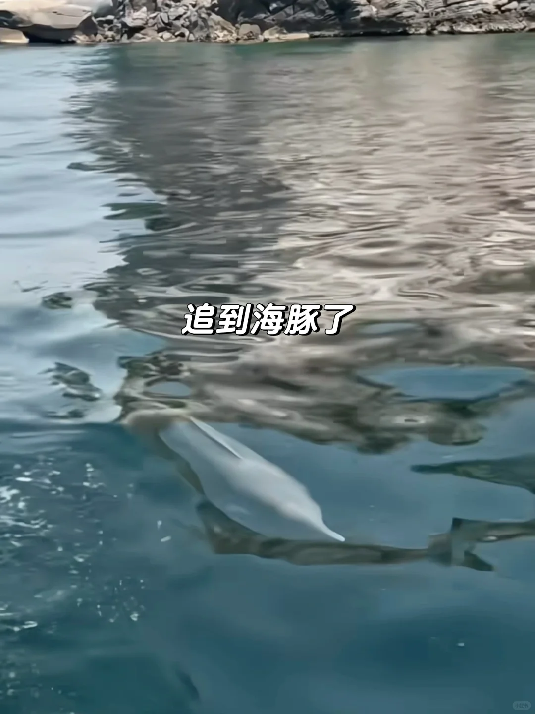 人生建议：一定要来阿布扎比来看卢浮宫！！！