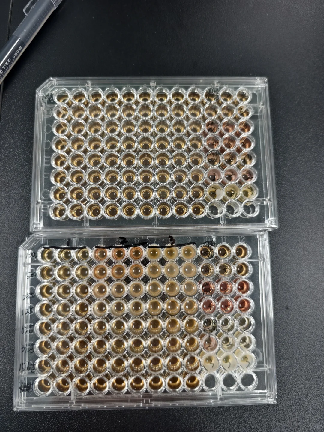 为啥刃天青染色出来不变色