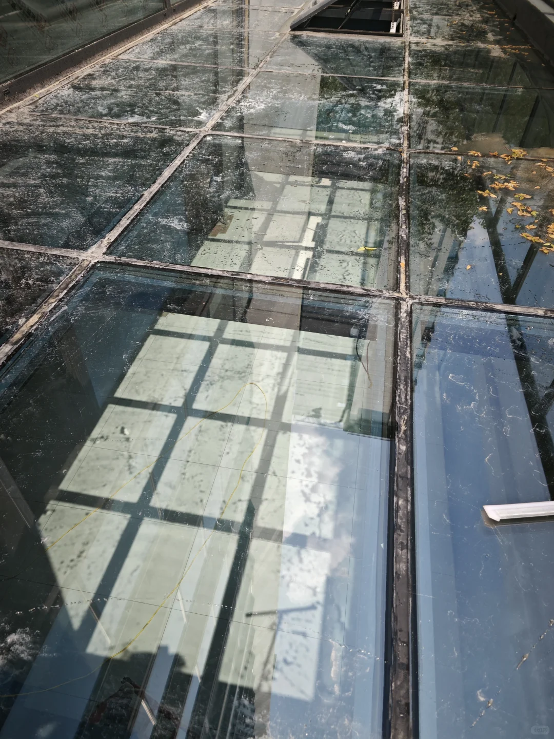 这个玻璃屋顶真是惊艳到了！