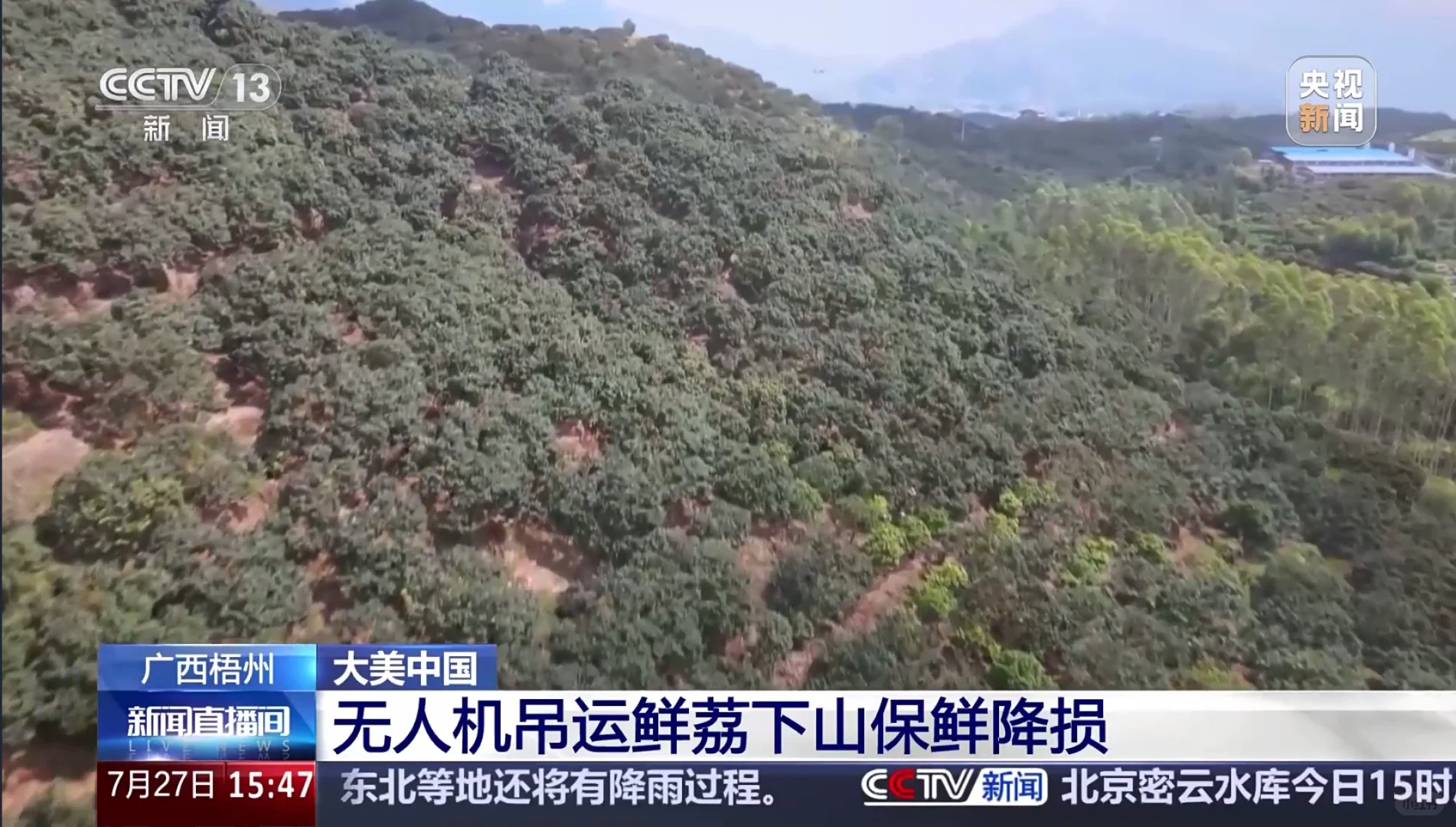 【地理热点】荔枝坐无人机下山?怒省80%