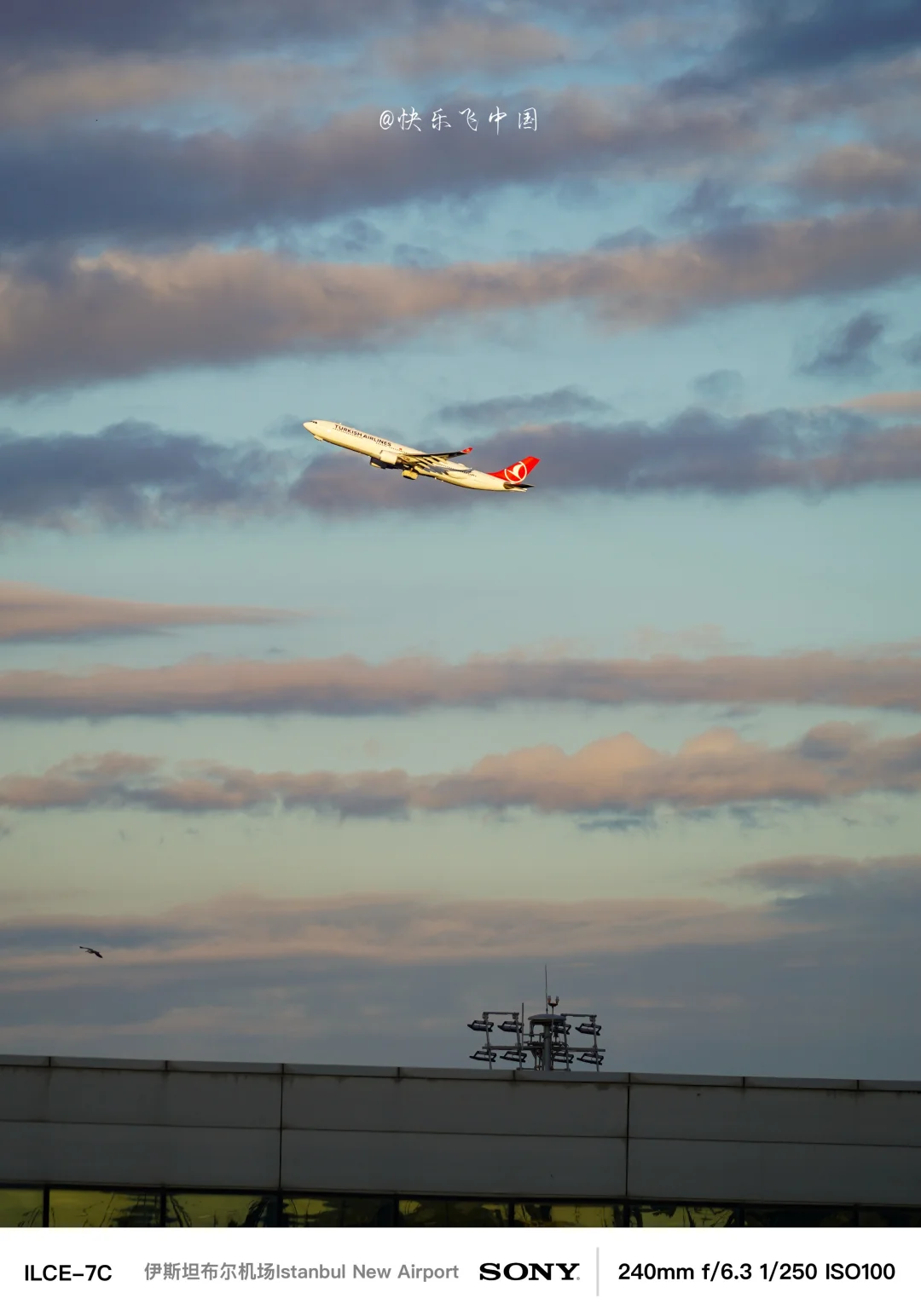 天马航空的A333宽体梦，土耳其航空，“圆了”❗️