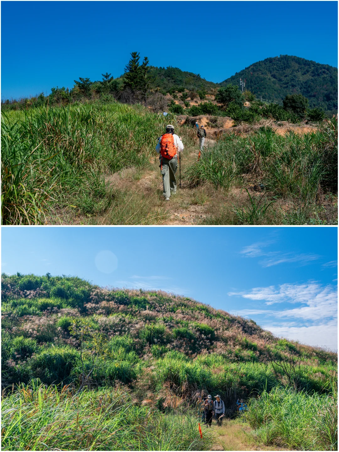 何峰山-王公山-利洋村的踏秋徒步
