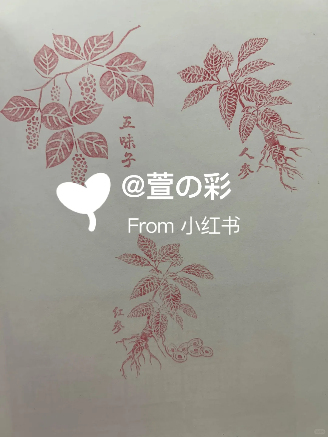 2025北京国际老龄产业博览会印章28枚