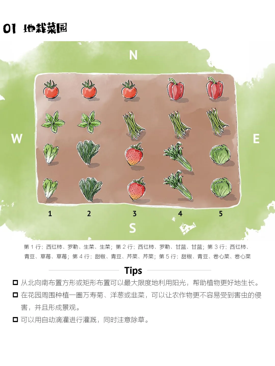 如何布置一个最佳收成的蔬菜花园