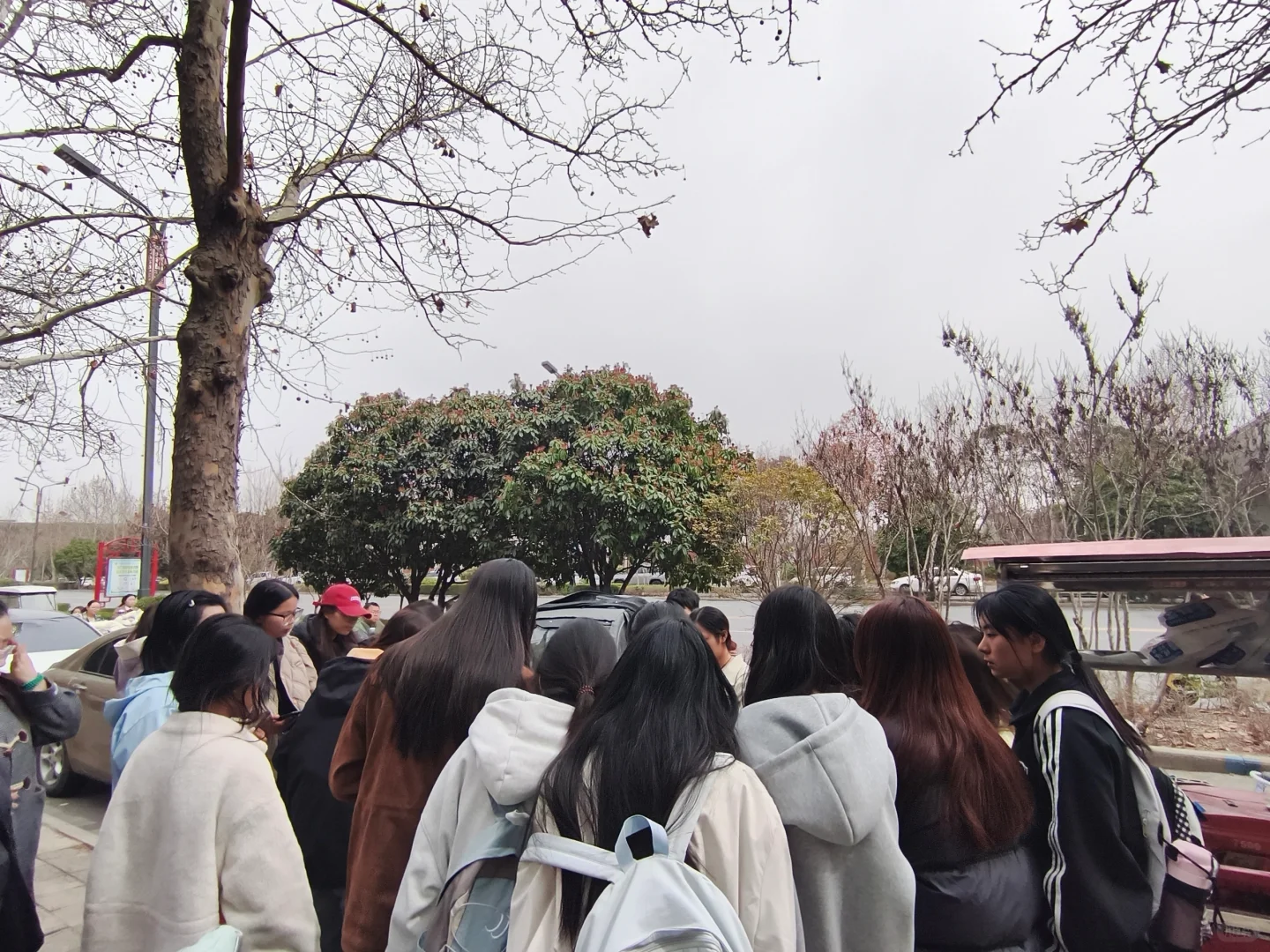 对不起！商学院好吃但配送慢的中央厨房