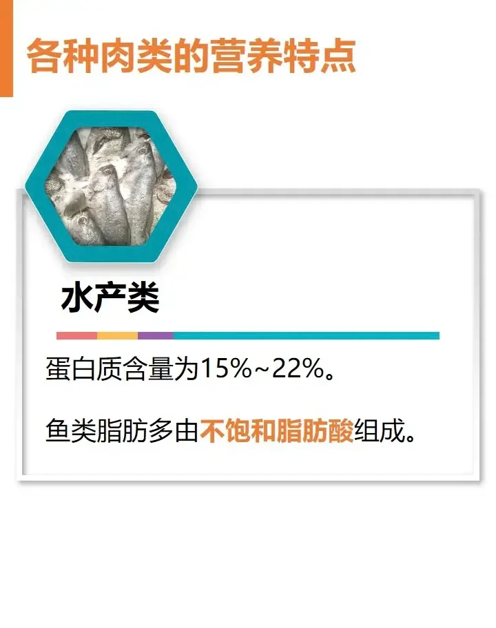 全民营养周?之鱼、禽、肉、蛋等动物性食物