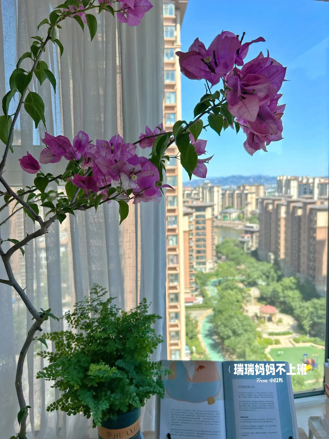 36岁,家是我的能量场,独处是灵魂的充电站✨