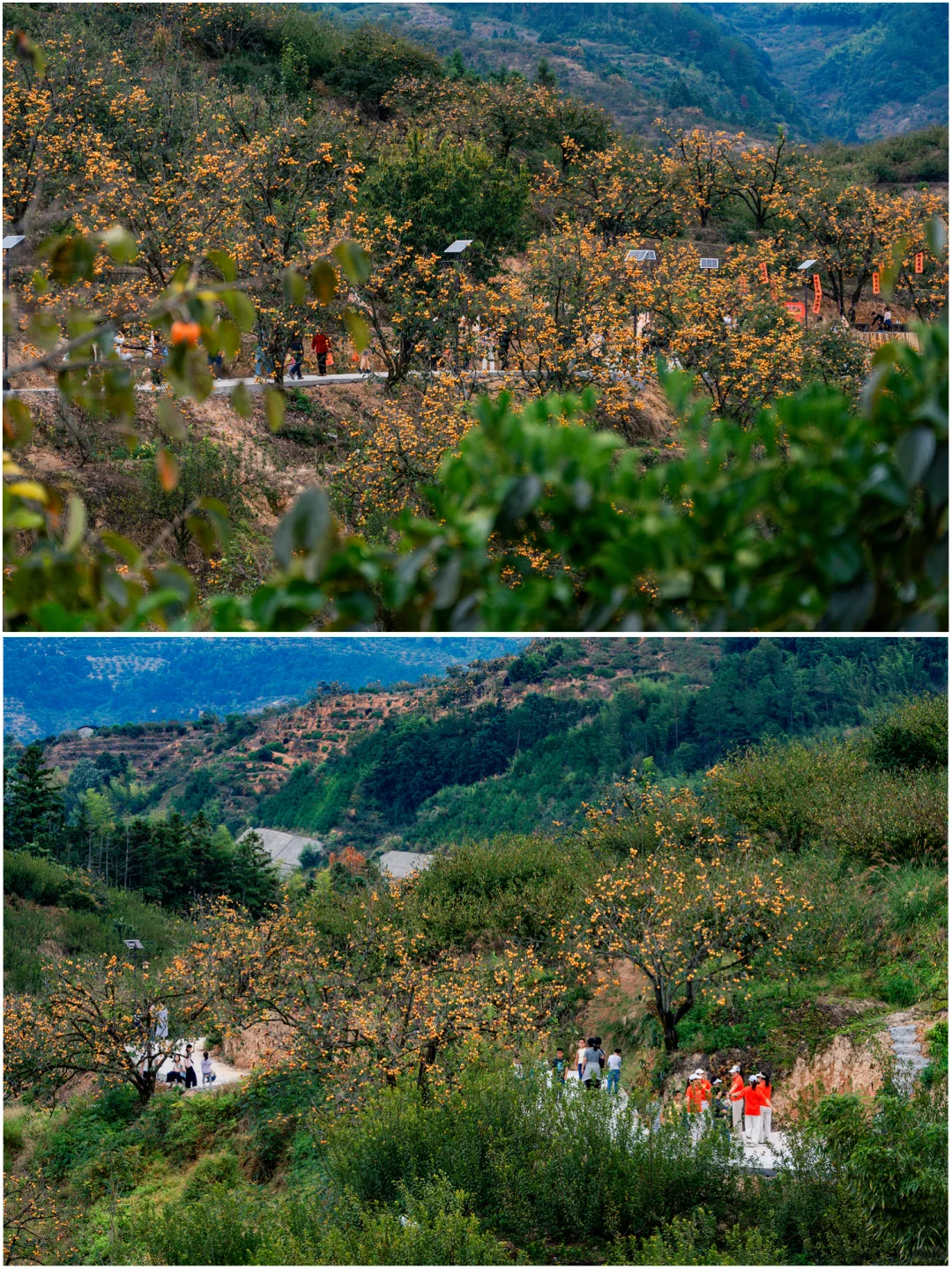 何峰山-王公山-利洋村的踏秋徒步