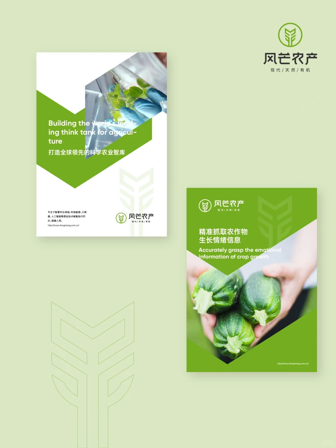 来自一颗麦子的灵感，原创LOGO设计