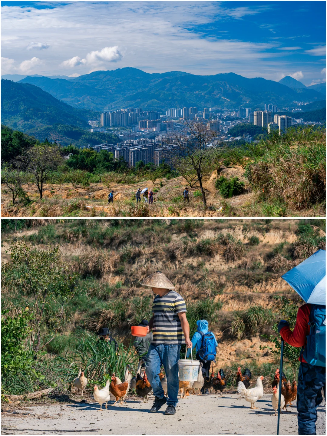 何峰山-王公山-利洋村的踏秋徒步